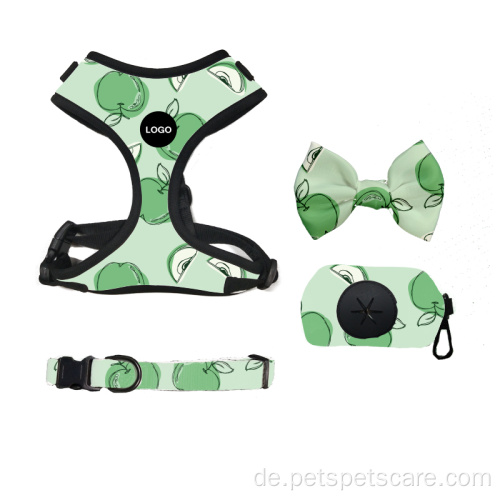 Set stilvolle personalisierte Designhund -Weste Kragengurt